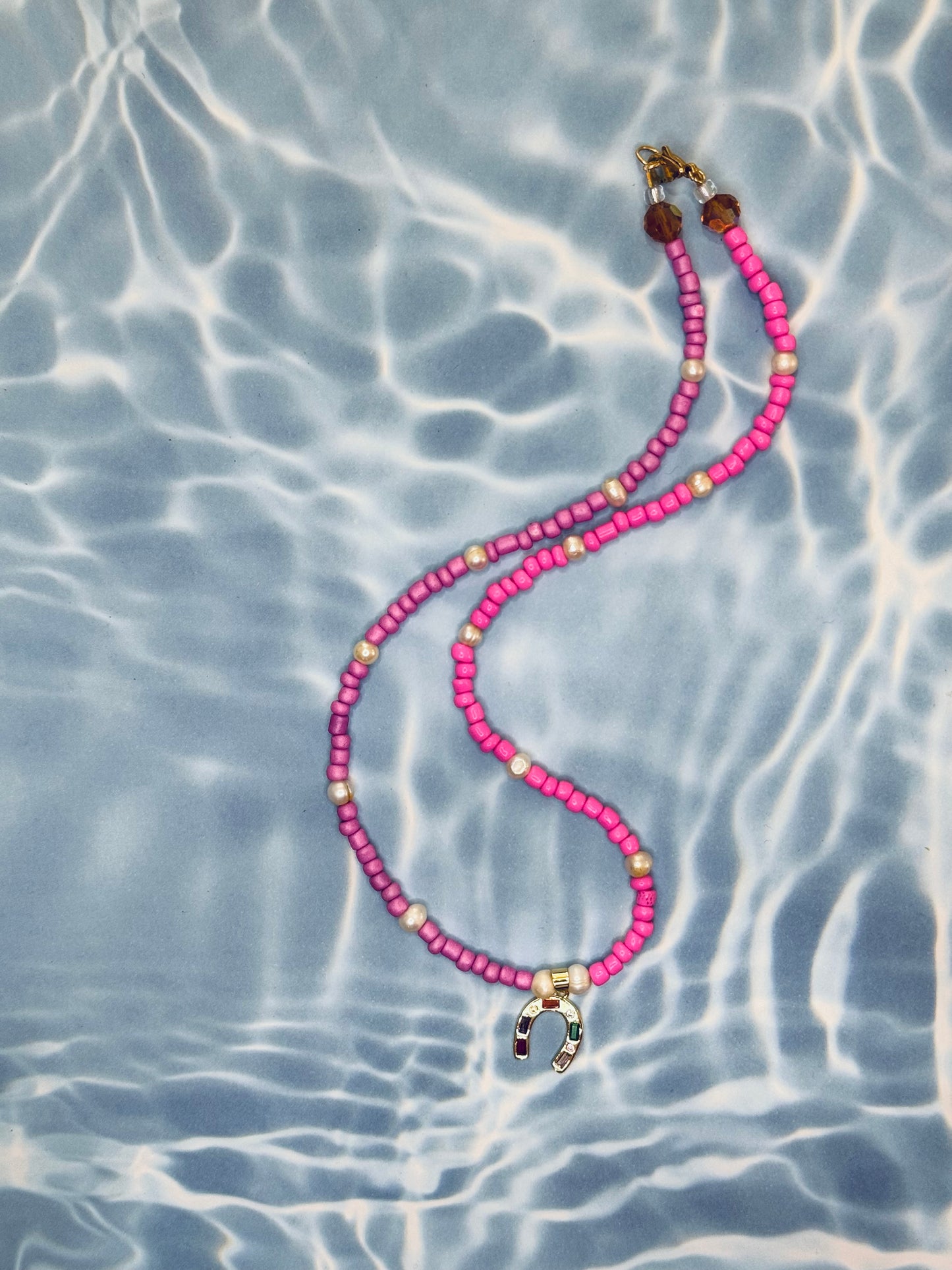 Sea horse rodeo