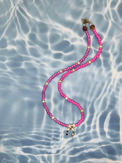 Sea horse rodeo